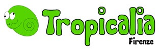 my-shop-logo-1464965335